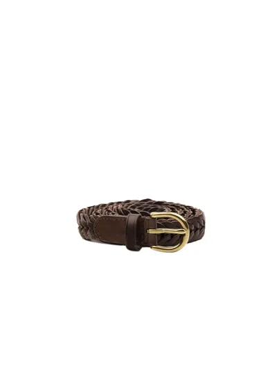 Dragon Diffusion Belts In Dark Brown