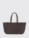Dragon Diffusion Handbag  Woman Color Brown In Brown