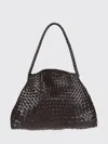 Dragon Diffusion Santa Maria Mini Dark Brown Shoulder Bag In Brown