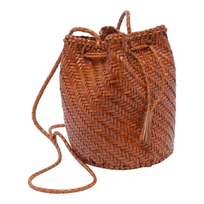 Dragon Diffusion Bags In Brown