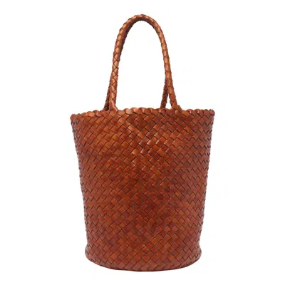 Dragon Diffusion Bags In Brown