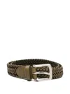 Dragon Diffusion Polo Tip Belt In Green