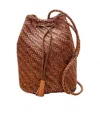 Dragon Diffusion Pompom Double Jump Bucket Bag In Brown