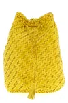Dragon Diffusion Pompom Double Jump Bucket Bag In Yellow