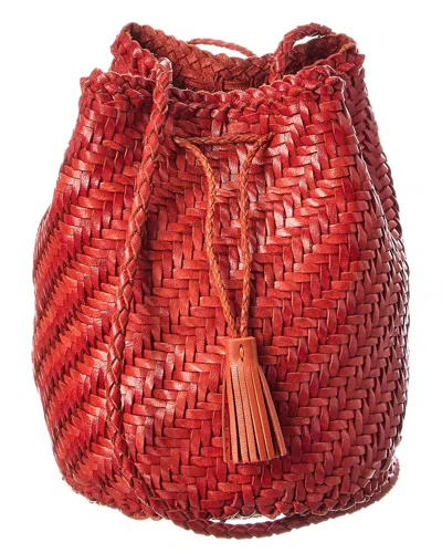 Dragon Diffusion Pompom Double Jump Leather Bucket Bag In Brown