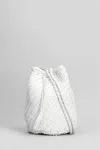 Dragon Diffusion Pompom Double Jump Shoulder Bag