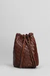 Dragon Diffusion Pompom Double Jump Bucket Bag In Brown