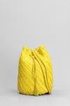 Dragon Diffusion Pompom Double Jump Crossbody Bags Yellow In Yellow