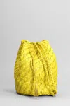 DRAGON DIFFUSION POMPOM DOUBLE SHOULDER BAG IN YELLOW LEATHER