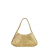Dragon Diffusion Rosanna Mini Shoulder Bag In Gold