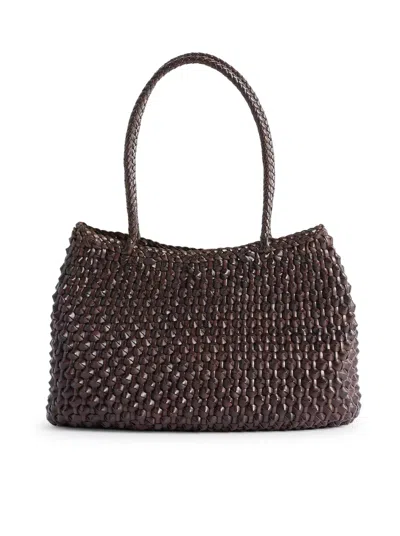 Dragon Diffusion Santa Croce Cactus In Brown
