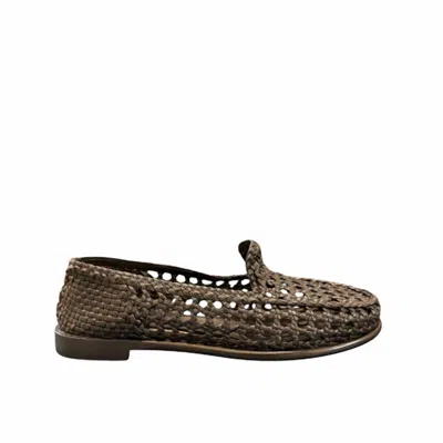 Dragon Diffusion Women's Dolly Mocassin In Black In Brown