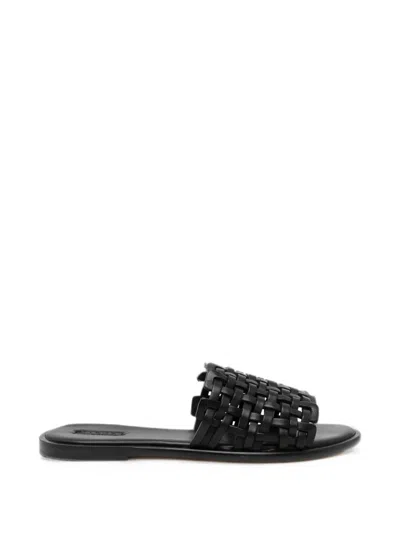 Dragon Diffusion Zig Zag Sandals In Black