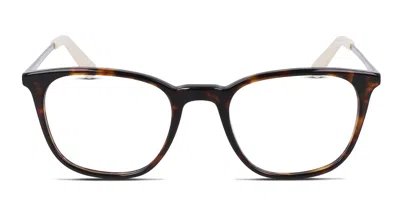 Dragon Dr2029 Tortoise