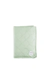 Dreamland Baby Dream  Baby Blanket In Sage Green