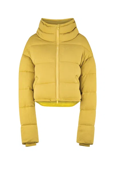 Dref By D Women's Yellow / Orange Nova Cropped Puffer Jacket - Gold In Yellow/orange