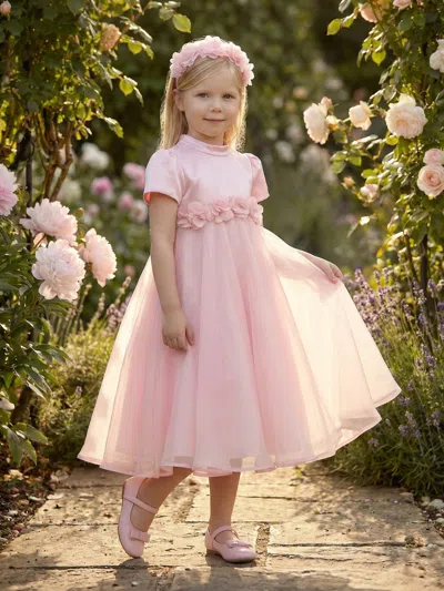 Dress & Fleur Babies'  Girls Chiffon Flower Dress In Pink
