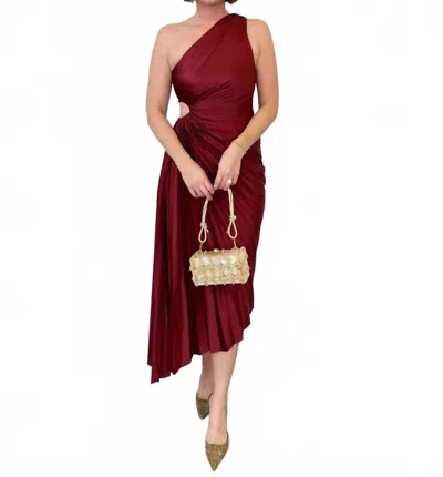 Dress Forum Bianca Asymmetrical Pleated Maxi Dress In Merlot In Brown