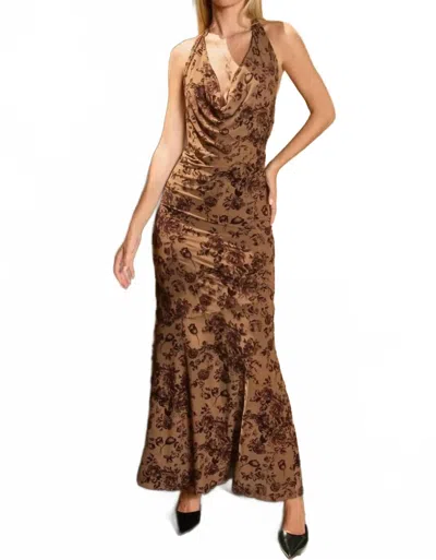 Dress Forum Draped Halter Neck Maxi Dress In Mocha In Brown