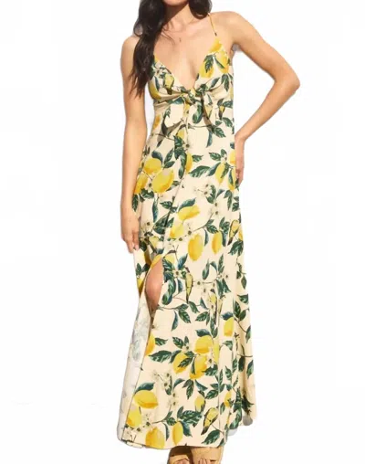 Dress Forum Printed Maxi Dress In Vintage Lemon In Multi