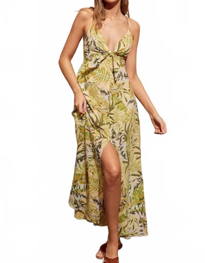 Dress Forum Scarlett Maxi Dress In Tropical Honeysuckle In Multi