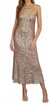 Dress Forum Sequined Soft Tie Halter Neck Maxi Cocktail Party Dress In Gold In Gold