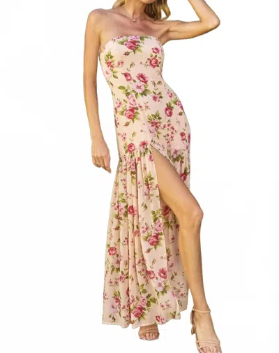 Dress Forum Sweet Emotion Dress In Rose In Multi