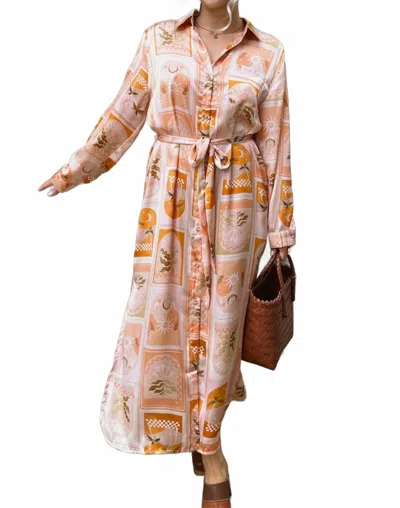 Dress Forum Tavi Maxi Dress In Yellow In Multi