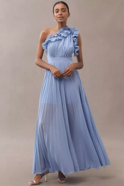 Dress The Population Vida One-shoulder Pleated Chiffon Maxi Dress