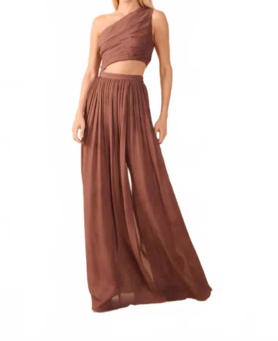 Dress To One Shoulder Maxi Dress In Brown