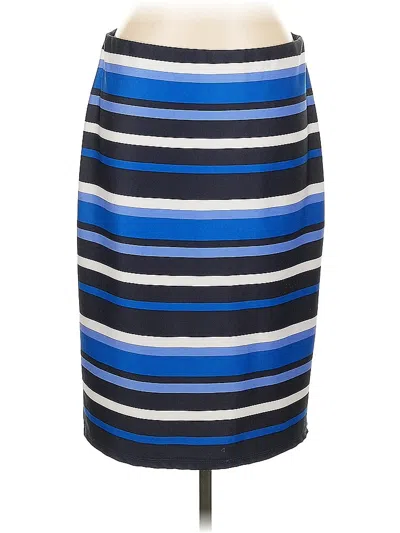 Pre-owned Dressbarn Casual Skirt In Blue