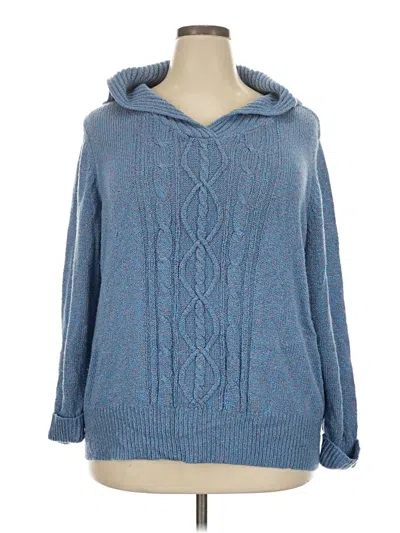 Pre-owned Dressbarn Pullover Sweater In Blue