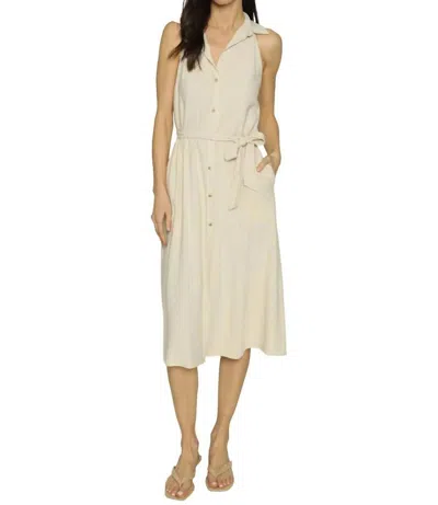 Drew Raelynn Dress In Khaki Stripe In Neutral