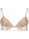 Drhope Crystal Bralette In Brown