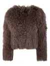 Drhope Dr. Hope Fur Jacket Clothing In Brown