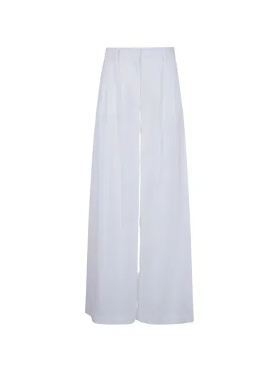 Drhope Pleated Wide-leg Trousers In Blue