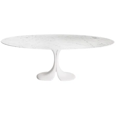 Pre-owned Driade Didymos Oval Table With White Marble Top By Antonia Astori For