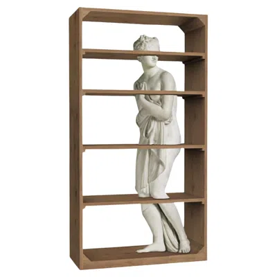 Pre-owned Driade Fabio Novembre For : Venus Sculptural Bookcase With Marble Statue Bookshelf In Brown
