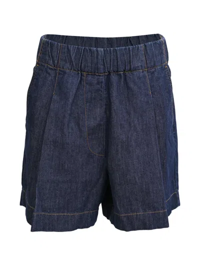 Pre-owned Dries Van Noten 2010-2020s Pila Pleated Shorts In Blue