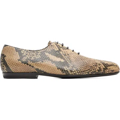 Dries Van Noten Beige Leather Oxfords In Brown