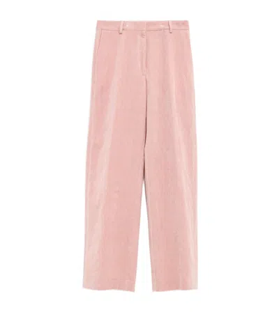 Dries Van Noten Belt-loop Casual Pants In Pink