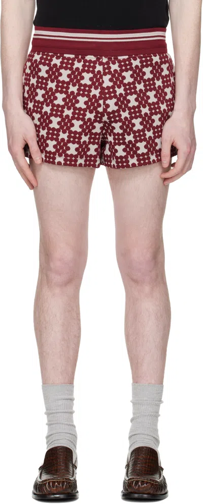 Dries Van Noten Burgundy Ribbed Jacquard Shorts In Multi