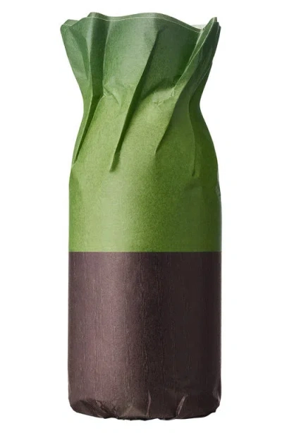 Dries Van Noten Cannabis Patchouli Eau De Parfum Refill In Transparent
