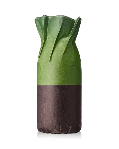 Dries Van Noten Cannabis Patchouli Eau De Parfum Refill 6.76 Oz. In Multi