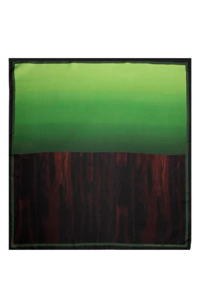 Dries Van Noten Foulard 5 Cannabis Patchouli Silk Scarf In Multi
