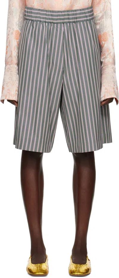Dries Van Noten Green & Pink Striped Shorts In 602 Pistache
