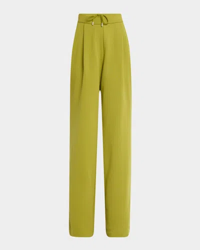 Dries Van Noten Hartia Bis Pleated Wide-leg Pull-on Pants In Light Green