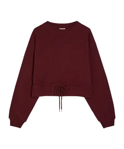 Dries Van Noten Hasterfiela Drawstring Cotton Sweatshirt In Brown