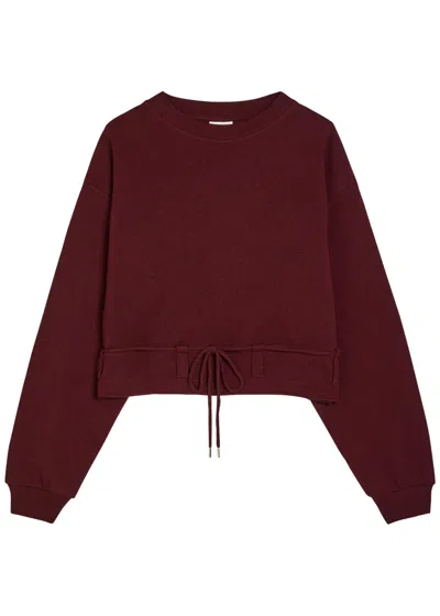 Dries Van Noten Hasterfiela Drawstring Cotton Sweatshirt In Burgundy