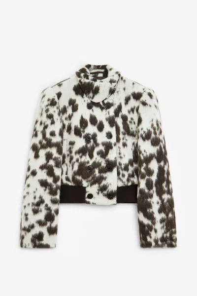 Dries Van Noten Jackets In Multi